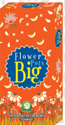 Flower pots big